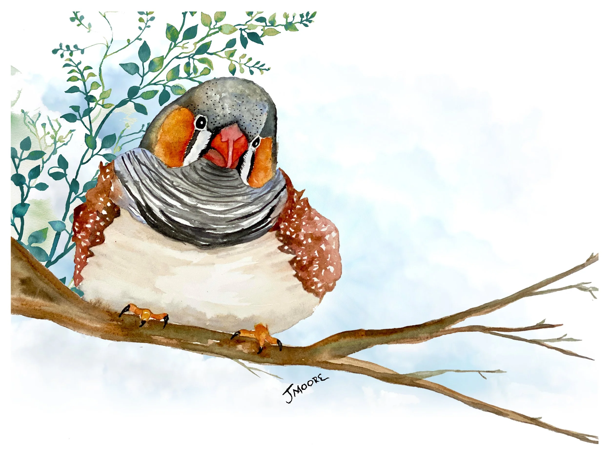 The Zebra Finch — Artwork by Jeffrey A. Moore